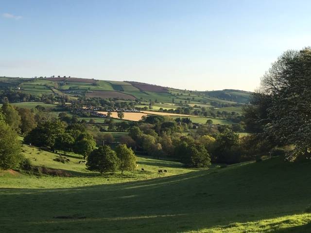 Rolling countryside near Gracey Court